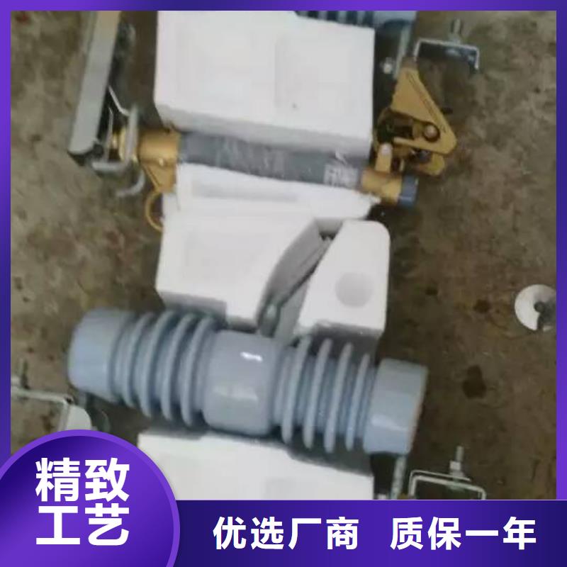 熔断器 户外绝缘件实力见证