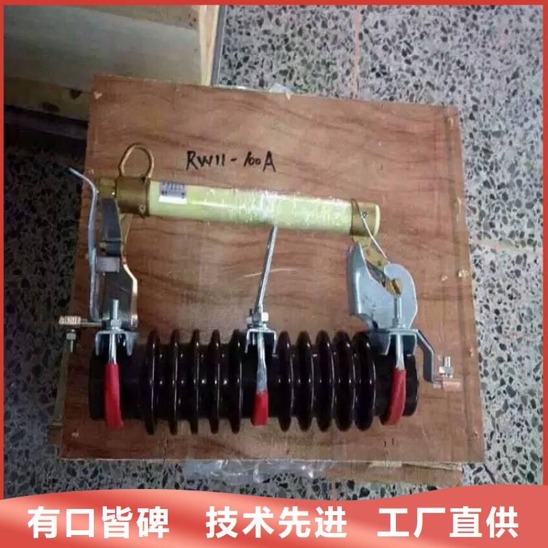 熔断器 户外绝缘件实力见证