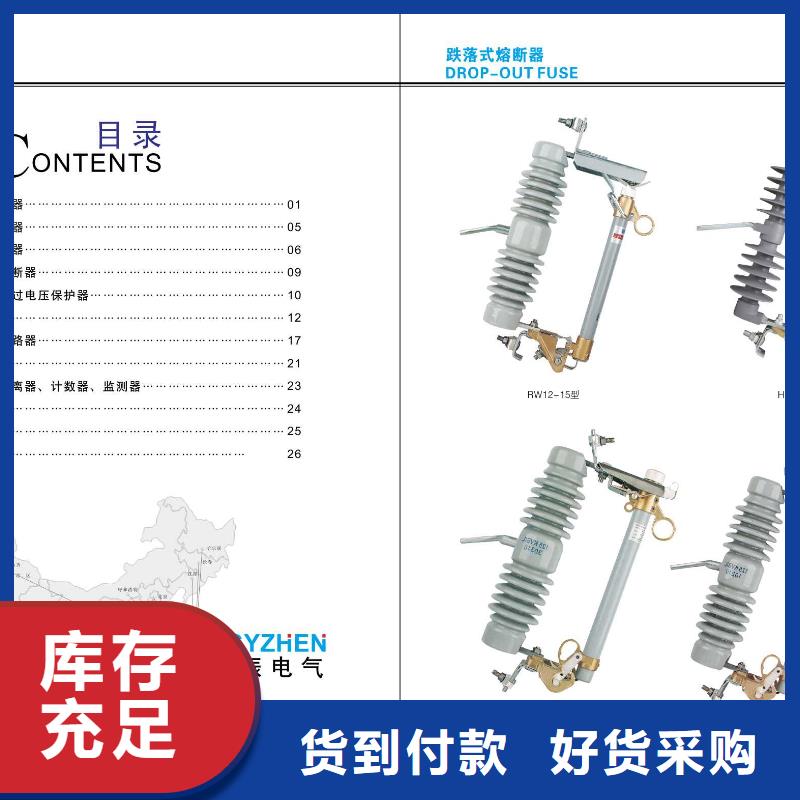 高压隔离开关【避雷器】24小时下单发货