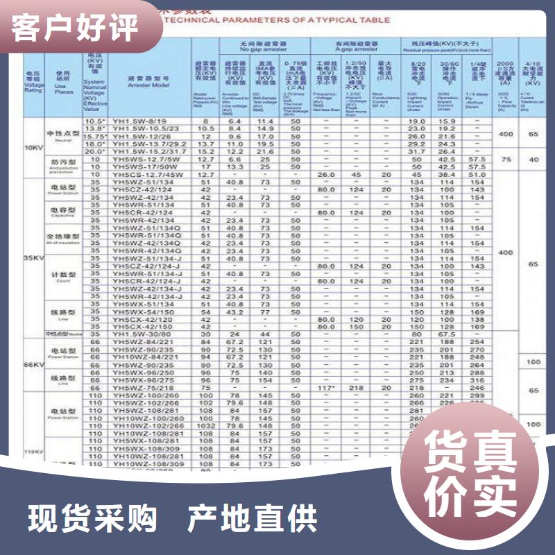 避雷器Y10W-108/281【浙江羿振电气有限公司】