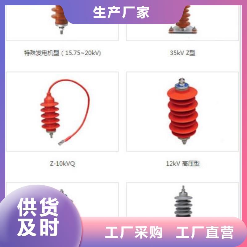 氧化锌避雷器HY10WZ-96/232