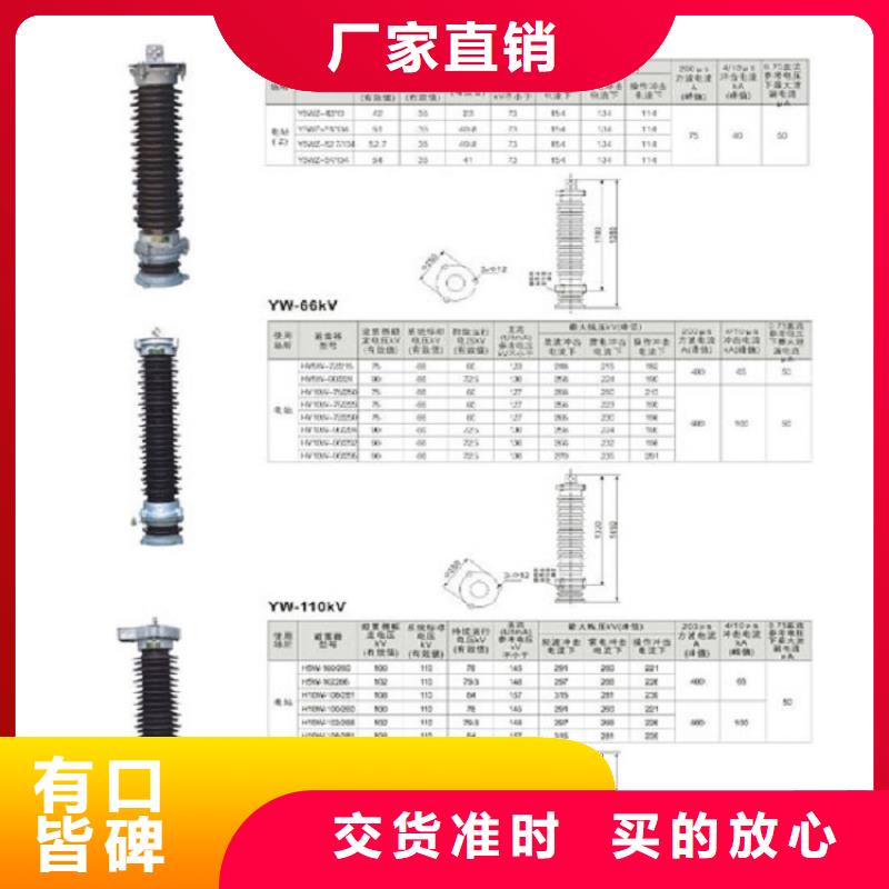 瓷外套金属氧化物避雷器Y10W-200/520【浙江羿振电气有限公司】