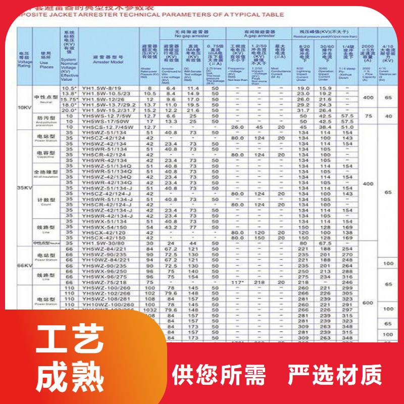 瓷外套金属氧化物避雷器Y10W-200/520【浙江羿振电气有限公司】