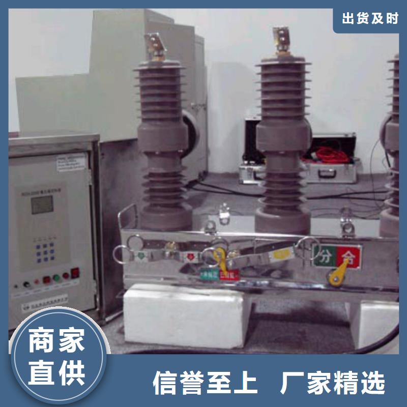 ZW39户外柱上真空断路器/户外高压真空断路器/ZW32-12/630-20