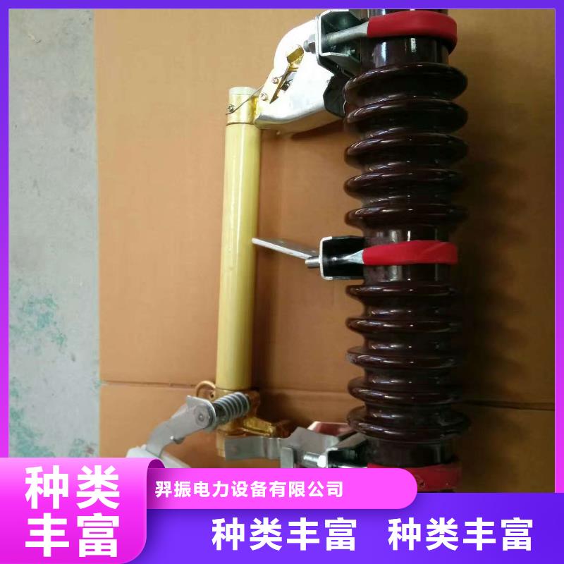 【熔断器】_高压支柱绝缘子支持定制贴心售后