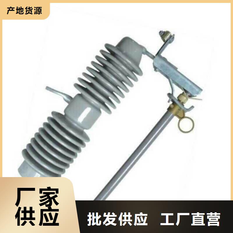 熔断器-支柱绝缘子海量现货