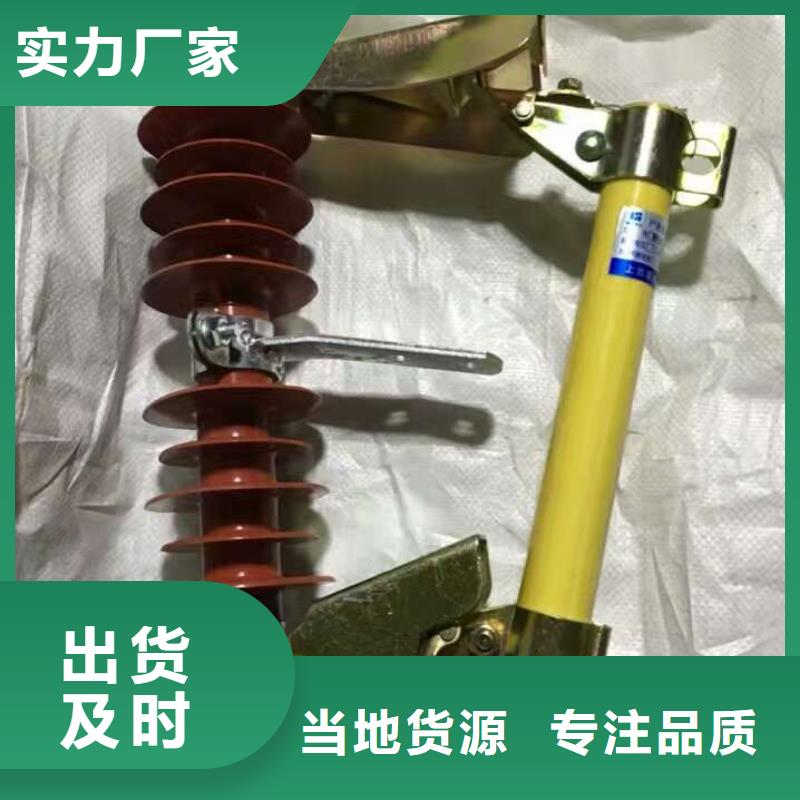 熔断器 隔离开关厂家一站式供应厂家