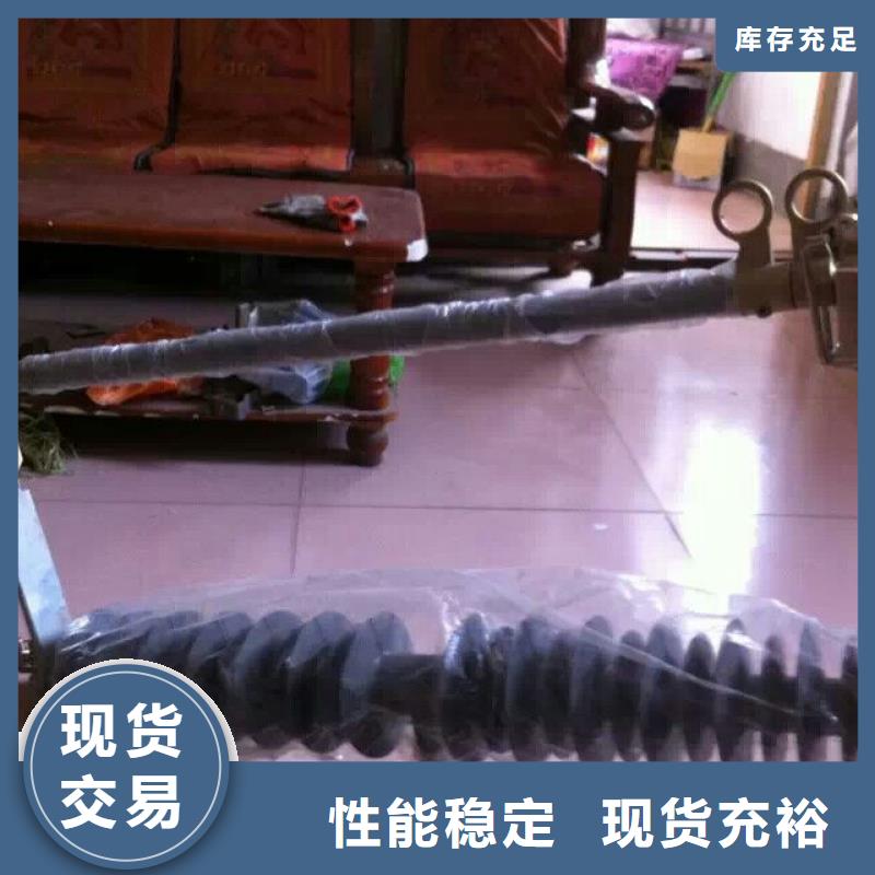 熔断器金属氧化物避雷器欢迎来厂考察