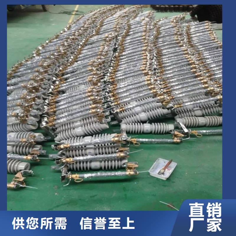 熔断器金属氧化物避雷器欢迎来厂考察