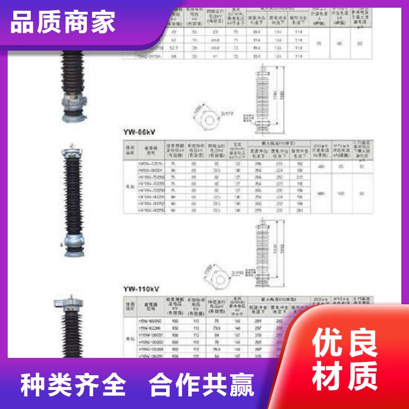 羿振高压负荷开关避雷器绝缘子随心所欲定制通金宝