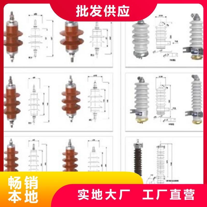 羿振避雷器跌落式熔断器性能稳定-业务覆盖区域|英山|蕲春|襄阳|孝感|鄂州|随州|十堰|黄石|武汉-通金宝