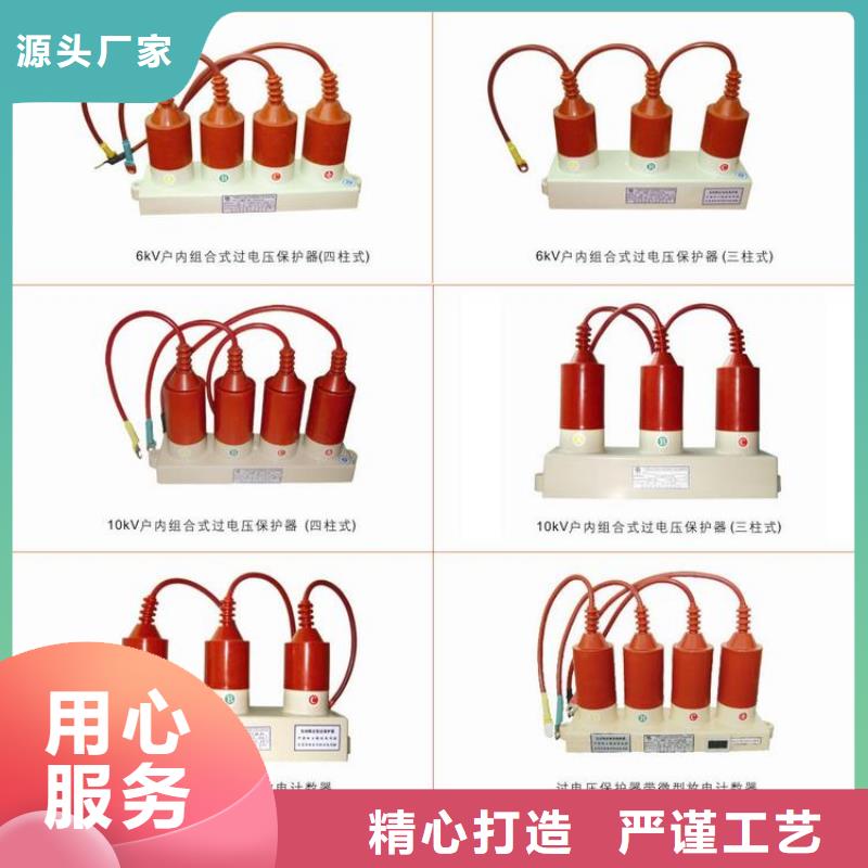 〖过电压保护器〗BSTG-B-17现货直供