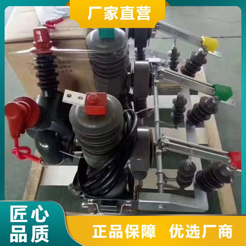 【柱上断路器】柱上断路器ZW32-12G/T630-20