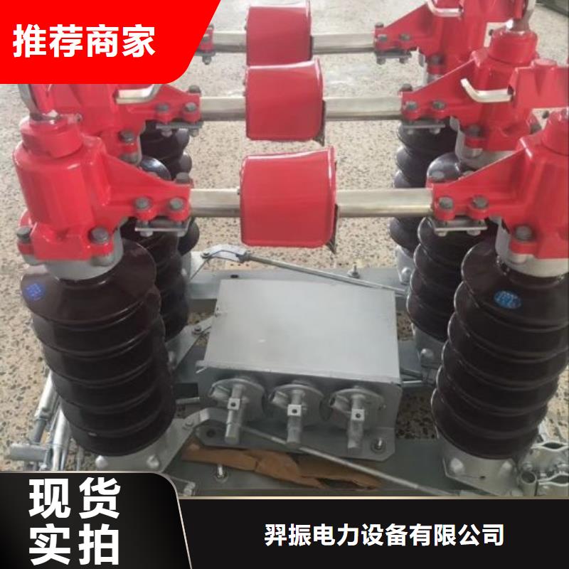 高压负荷开关-视频-青海省黄南市羿振高压负荷开关可服务区域海东|西宁|海西|果洛|海北等