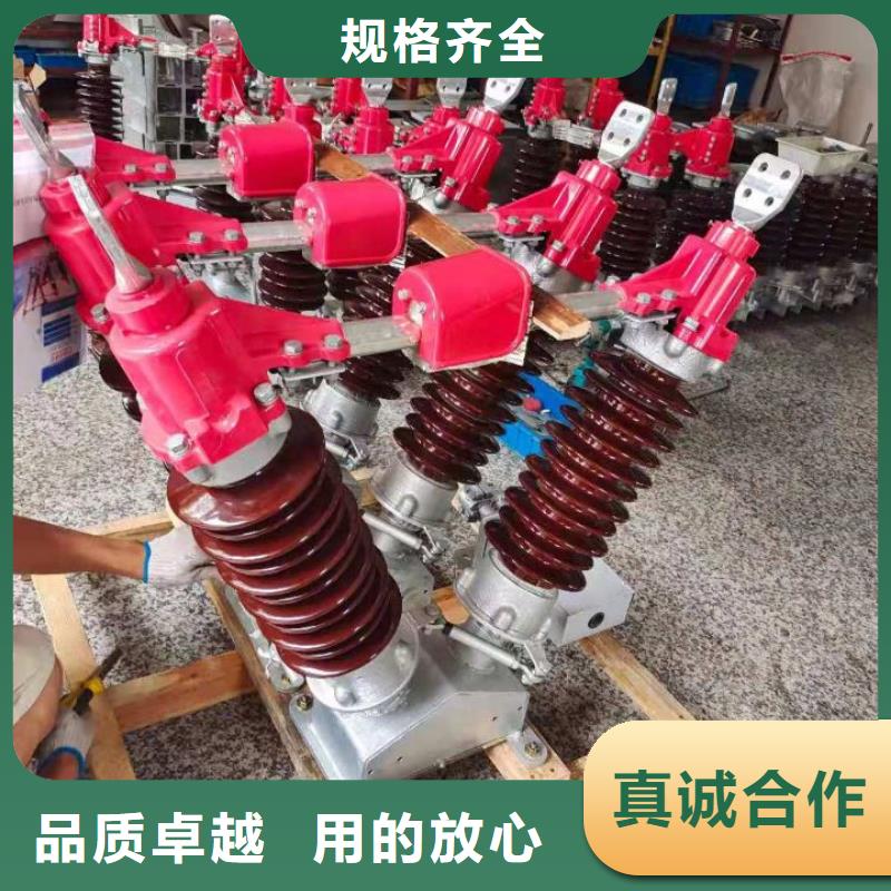 高压负荷开关-视频-青海省黄南市羿振高压负荷开关可服务区域海东|西宁|海西|果洛|海北等