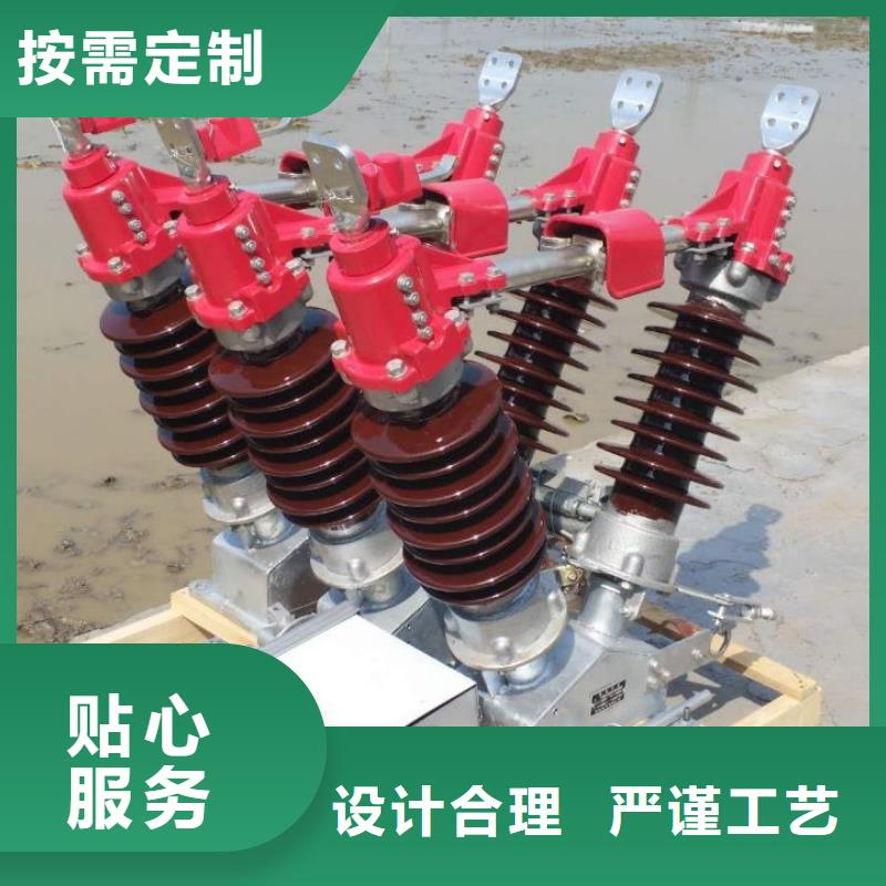 高压负荷开关-视频-青海省黄南市羿振高压负荷开关可服务区域海东|西宁|海西|果洛|海北等