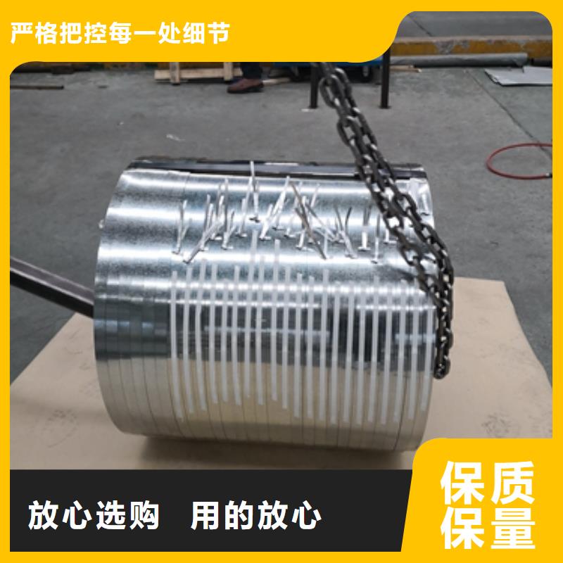 定制取向电工钢0.27	B27P085