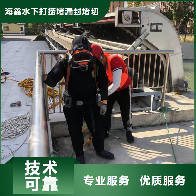 潜水打捞队视频-潜水打捞队-湖南省益阳市安化|沅江|永州|岳阳|湘潭|常德|怀化|张家界(该地)生产商