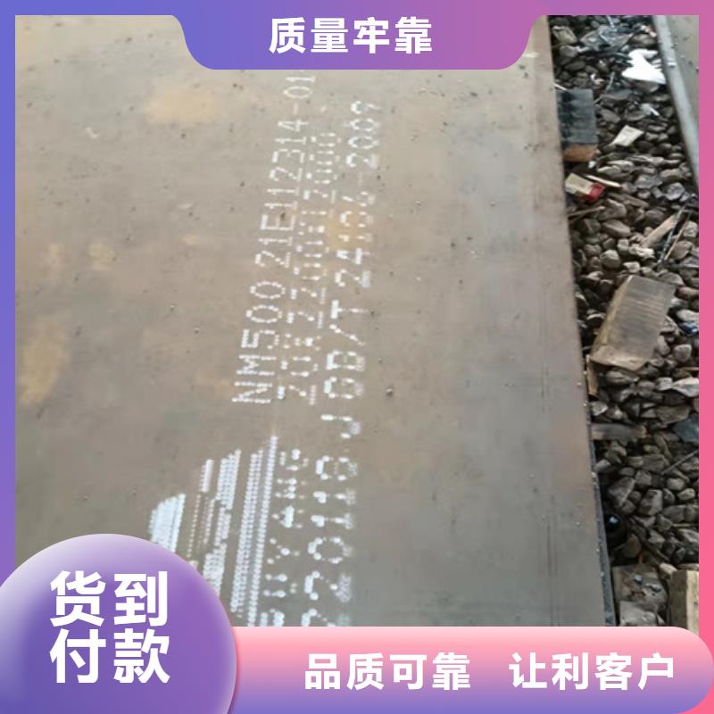 档尘板耐酸钢板	按需定制