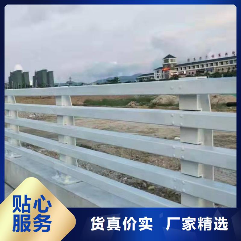护栏-市政道路防护栏价格实在