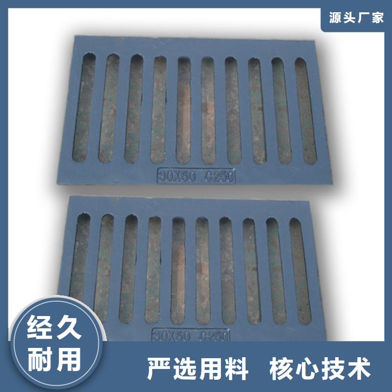 球墨铸铁双开篦子制造厂家
