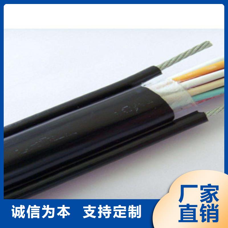 澄迈县BPYJVPP23X95平方变频电缆周期短价格优