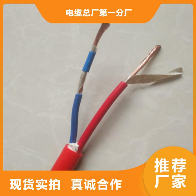 特种电缆阻燃电缆厂家细节决定成败