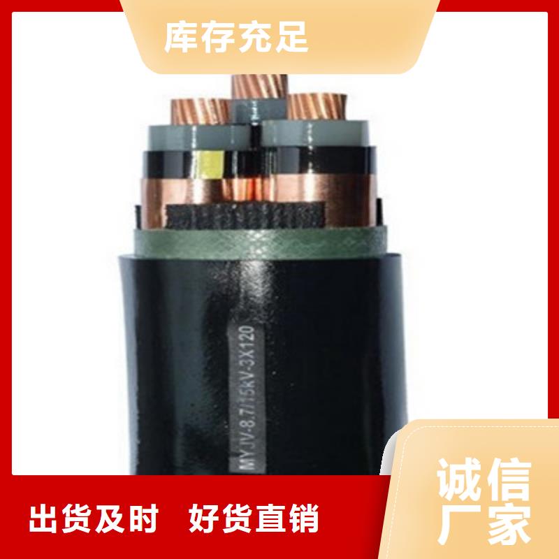 澄迈县BPYJVPP23X95平方变频电缆周期短价格优
