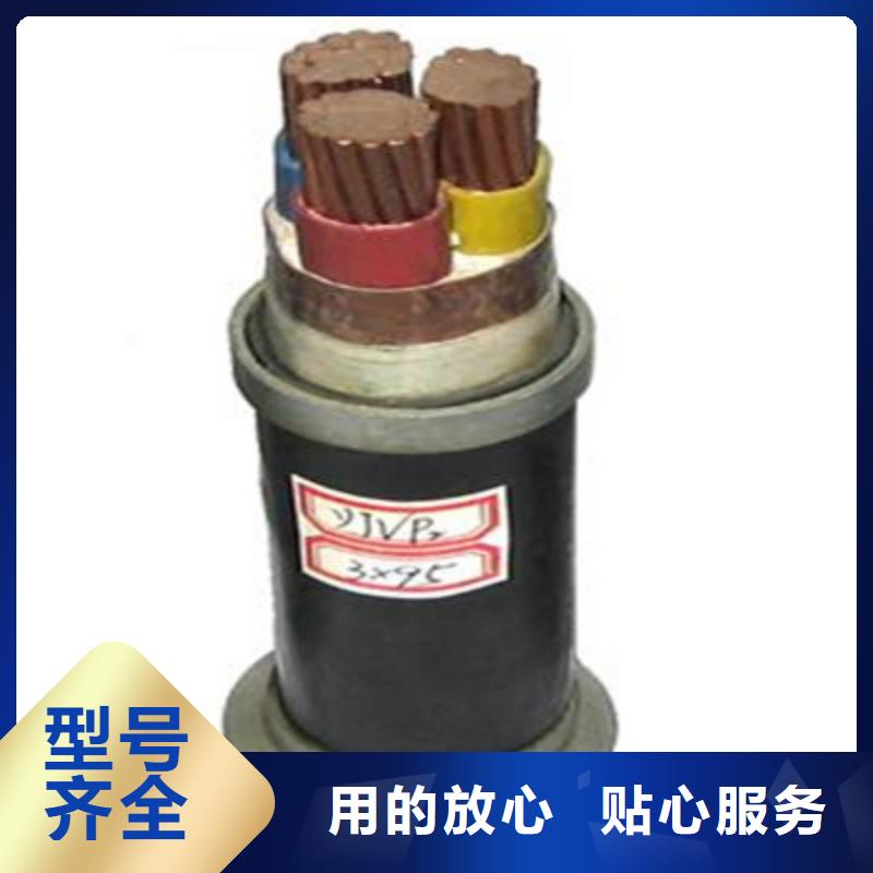 厂家专业生产RVVSP电缆工艺精良