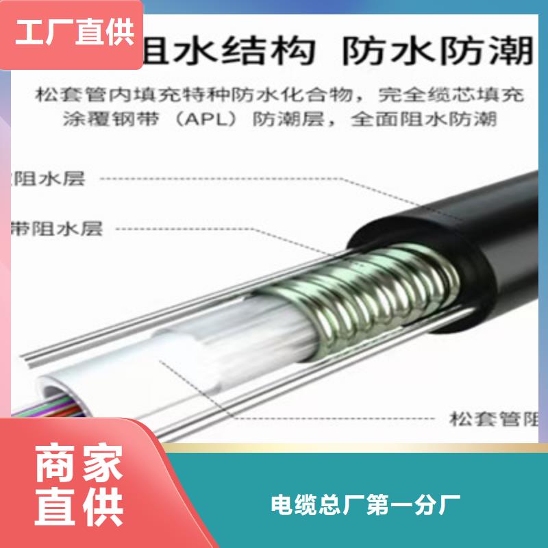 通信电缆控制电缆好货有保障