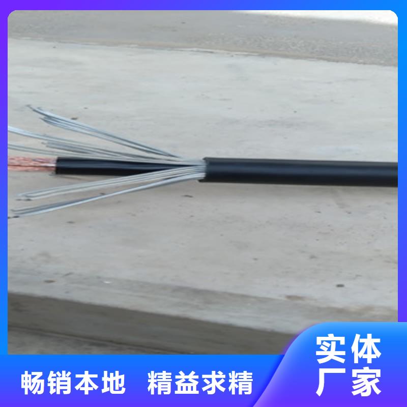 计算机电缆通信电缆来图来样定制