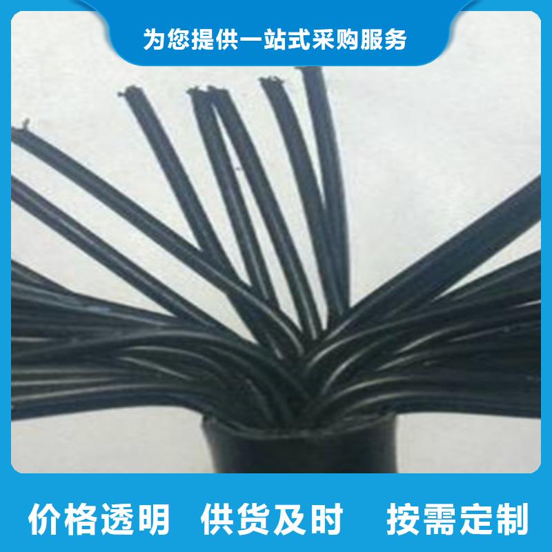 60227IEC53RVV行车控制电缆-60227IEC53RVV行车控制电缆现货供应
