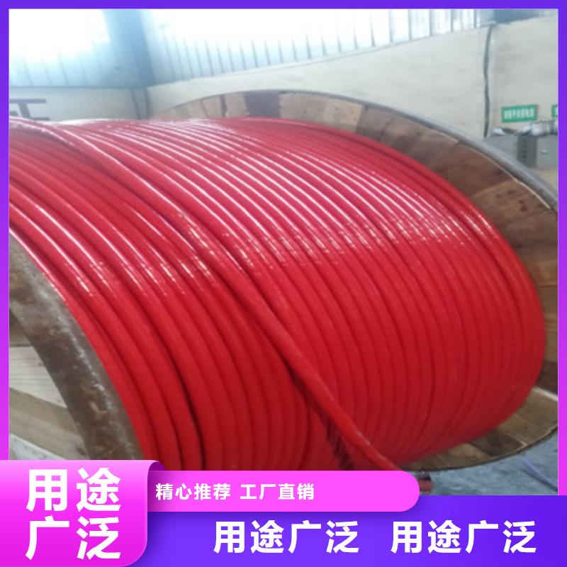 【耐高温电缆电缆生产厂家专业生产团队】