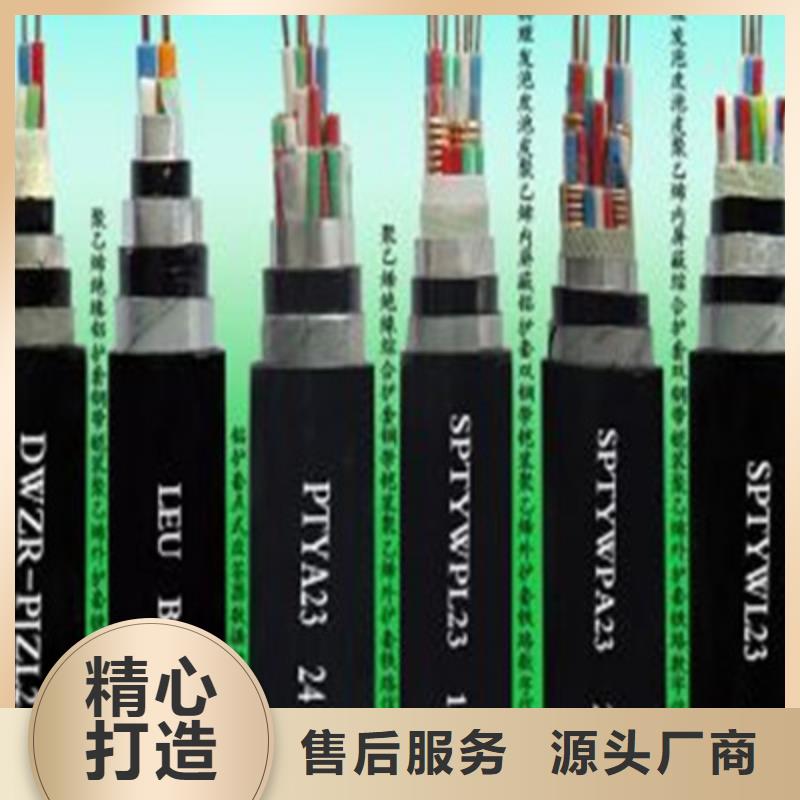 铁路信号电缆【信号电缆】一致好评产品