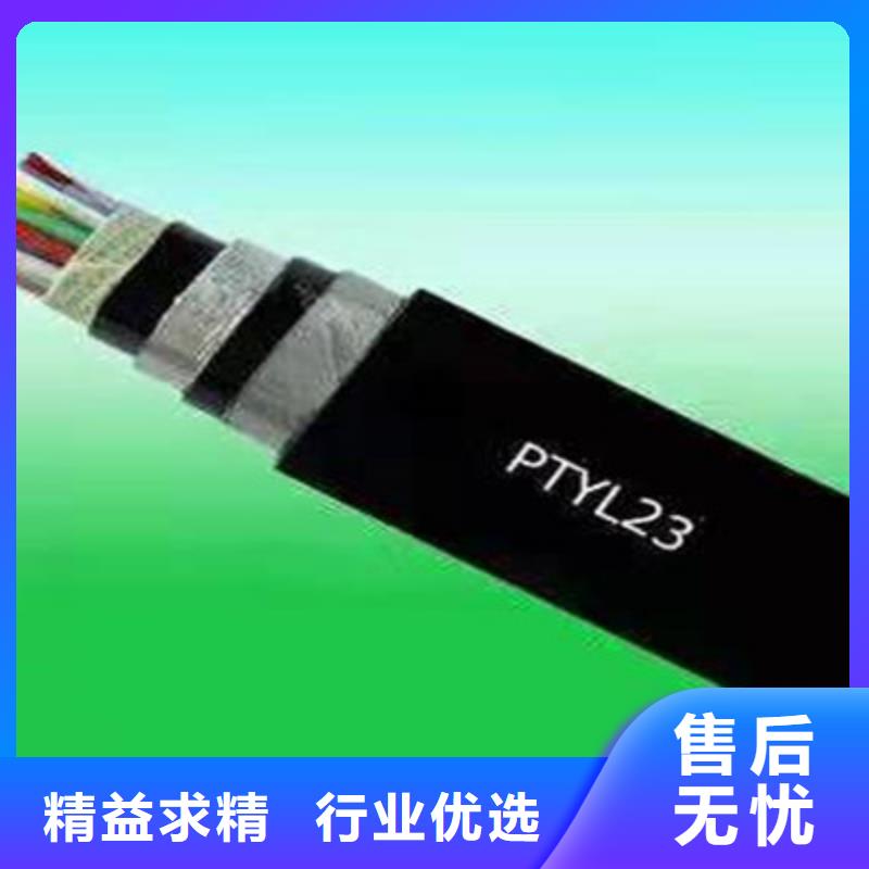 【铁路信号电缆信号电缆源头厂商】