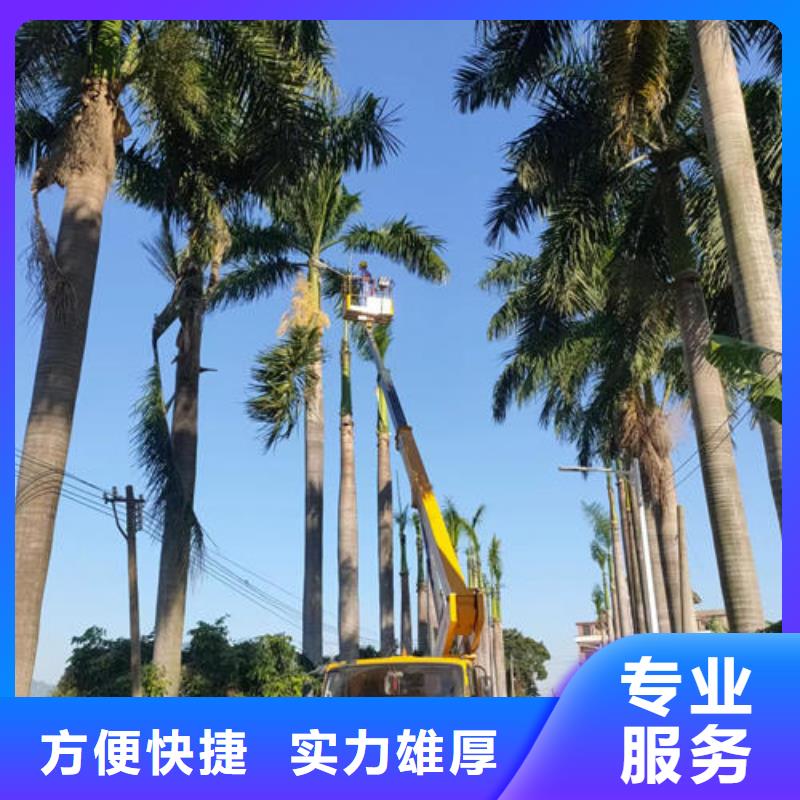 县路灯车租赁多少钱诚信公司
