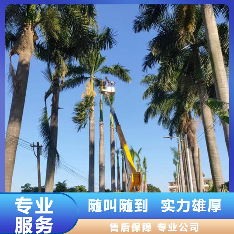 升降车高空作业车本地出租公司
