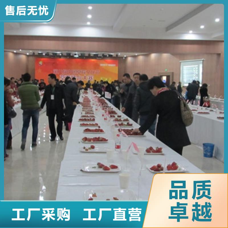 草莓苗葡萄苗欢迎来电询价