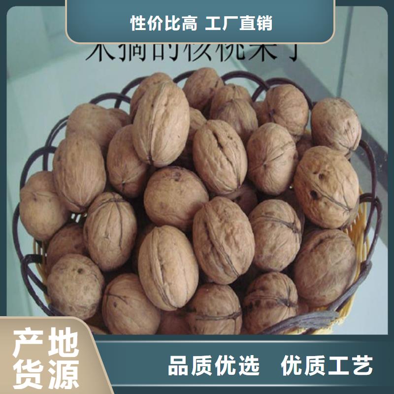 核桃苗大棚草莓苗支持加工定制