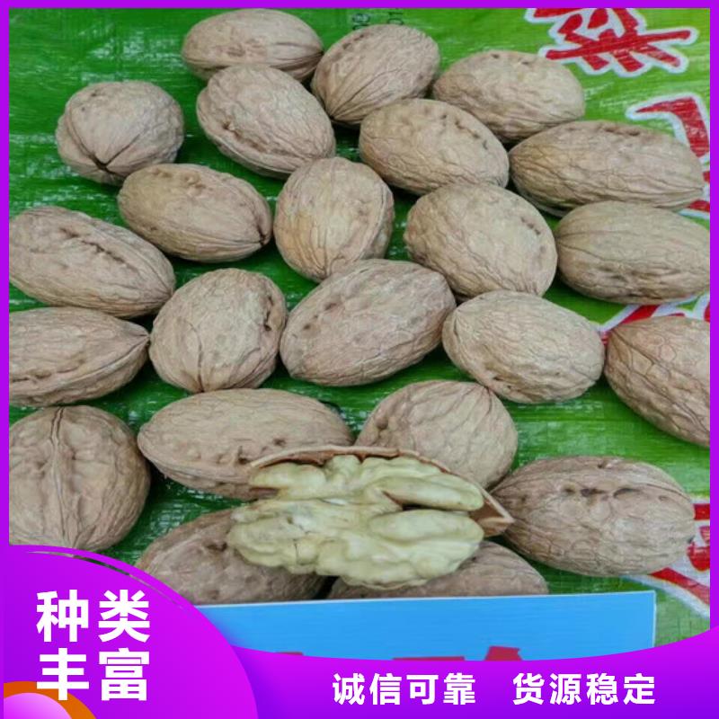 核桃苗红肉西梅现货齐全售后无忧