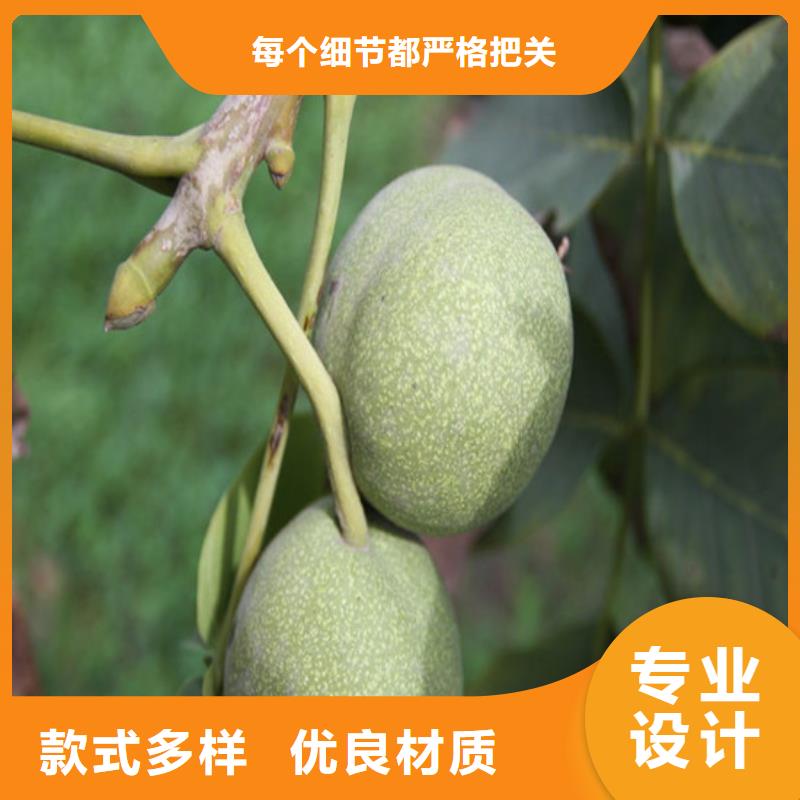 核桃苗樱桃苗实力公司