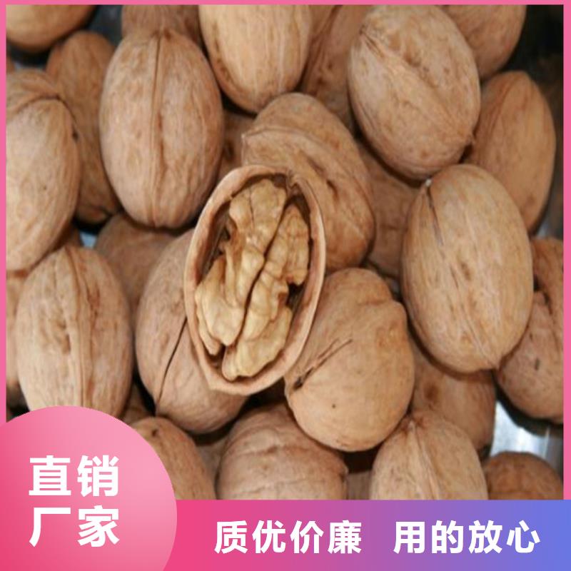 核桃苗,甜柿子树苗现货供应