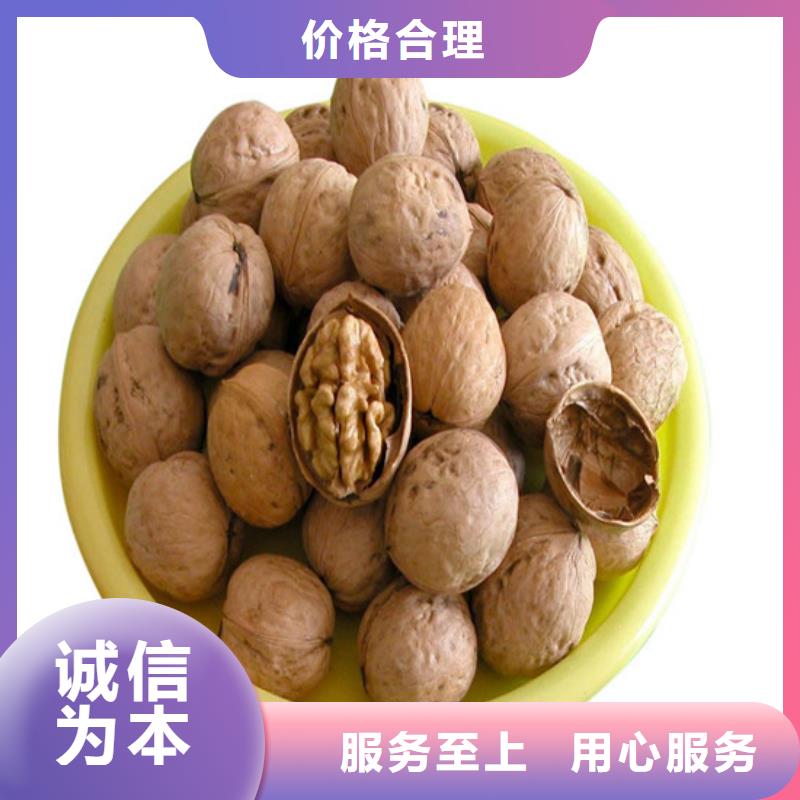 核桃苗-果树苗专心专注专业