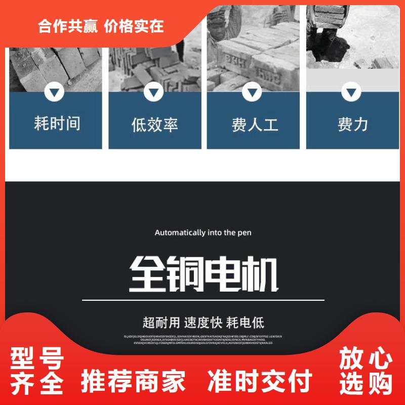 电动上砖机_二次结构浇筑机真实拍摄品质可靠