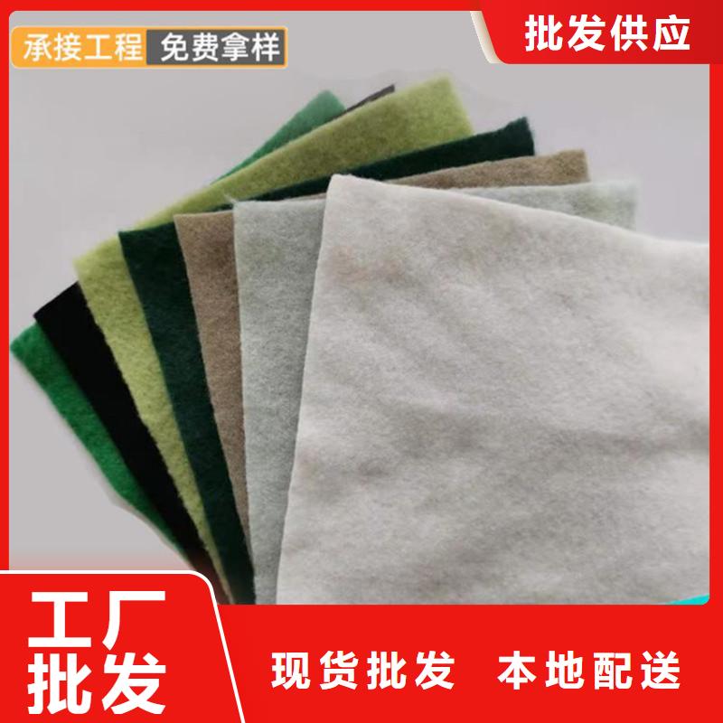 土工布_防水板产地工厂