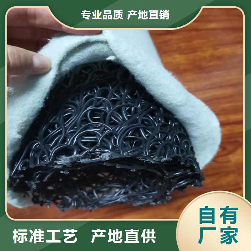 塑料盲沟防渗土工膜产品实拍