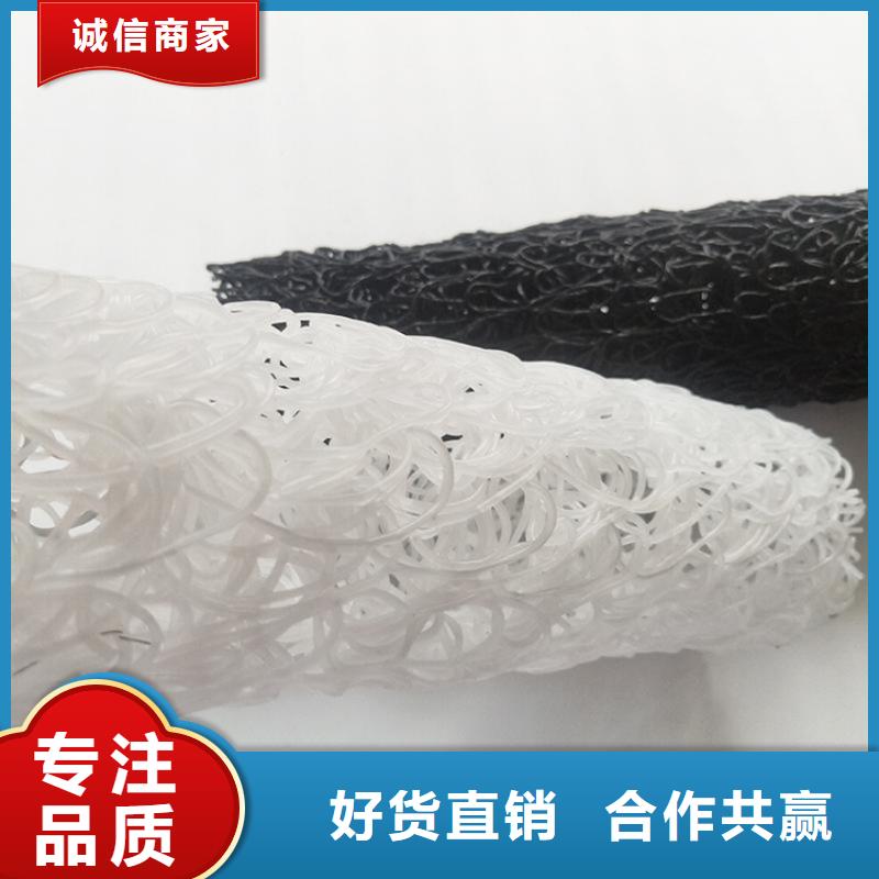 塑料盲沟防渗土工膜产品实拍
