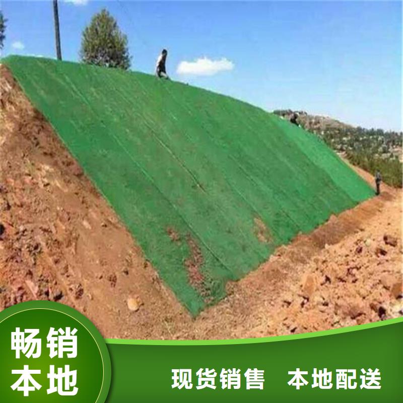 三维植被网防渗膜您身边的厂家