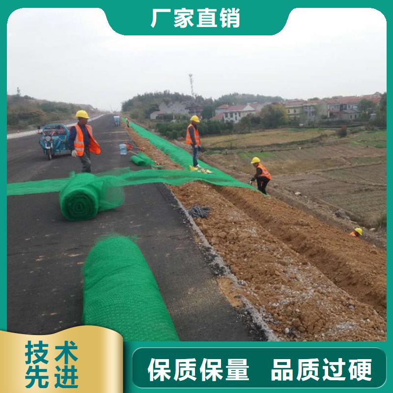 三维植被网土工布源头工厂