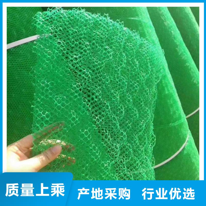 三维植被网防渗膜您身边的厂家